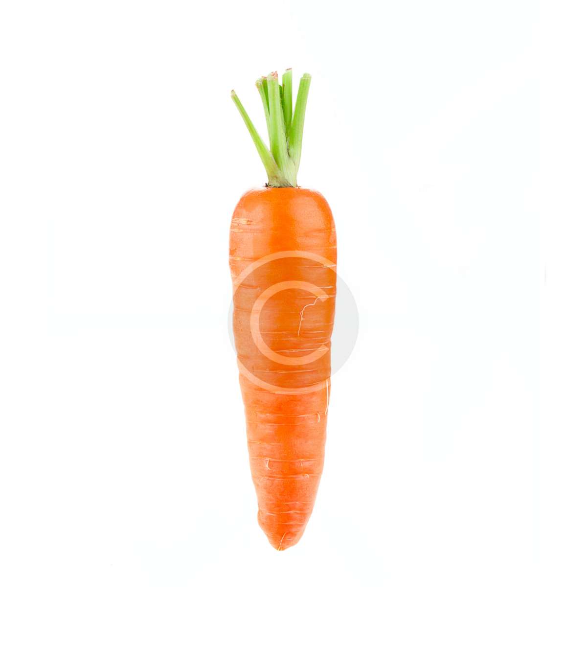 product-image23-copyright
