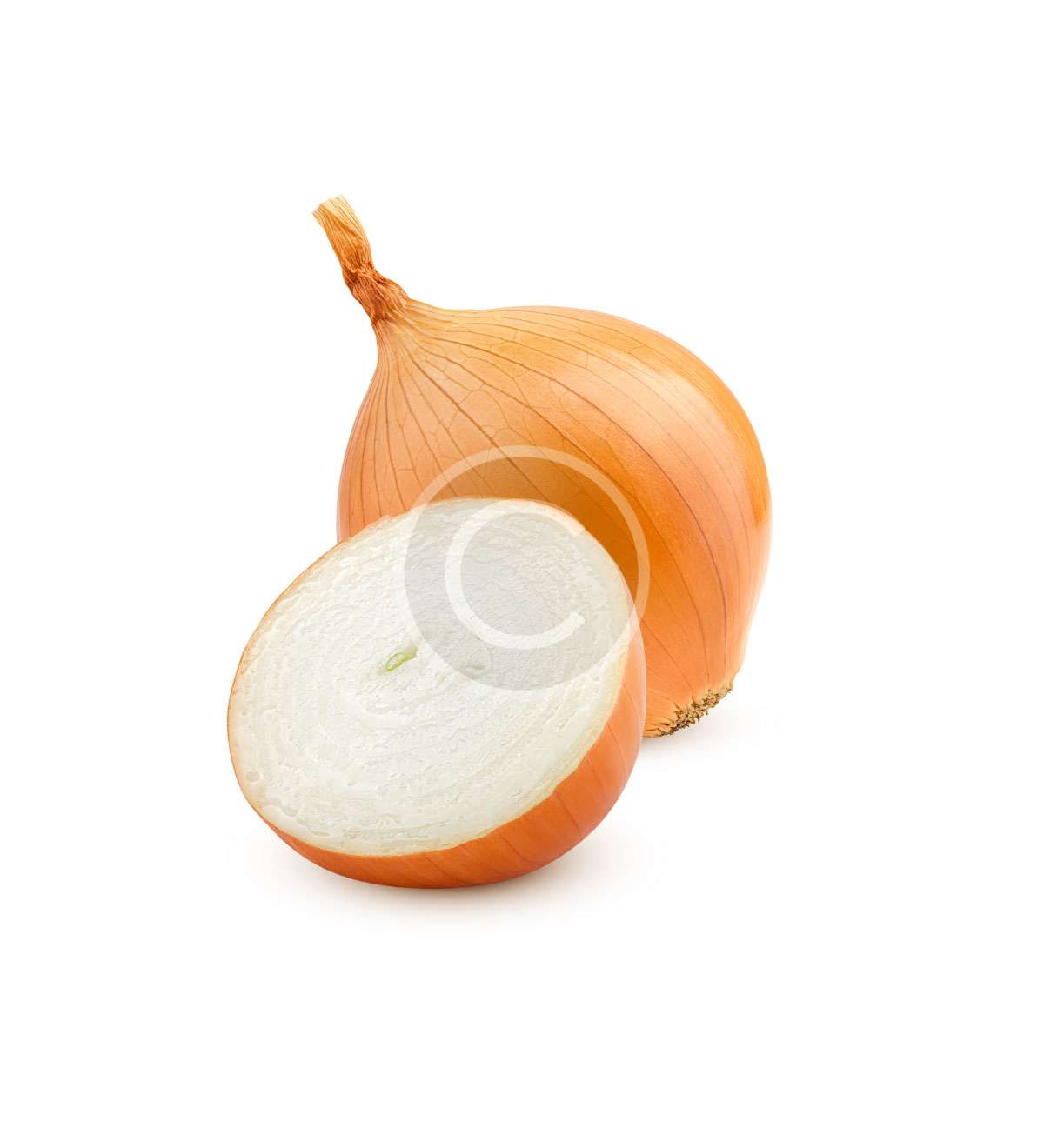 product-image30-copyright.j9g