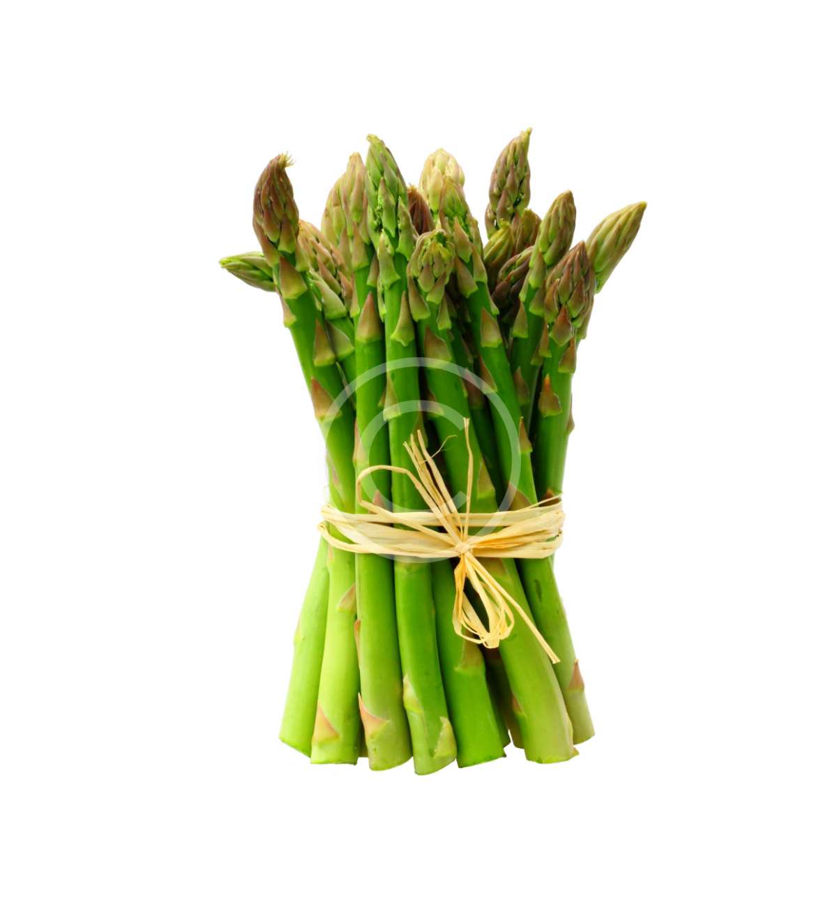 product-image7-copyright